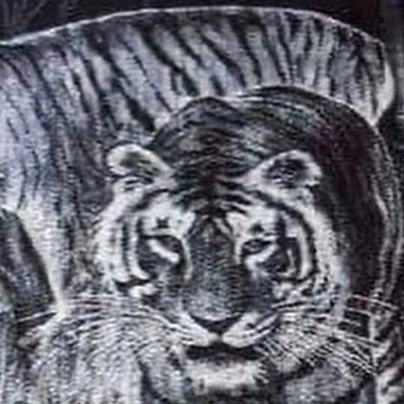 Meet your Posher, Bermudez - Picture 1 of 1